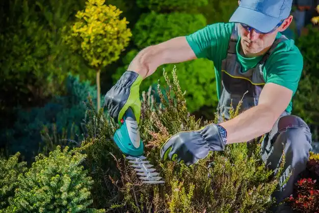 landscaping services Woodlawn Park